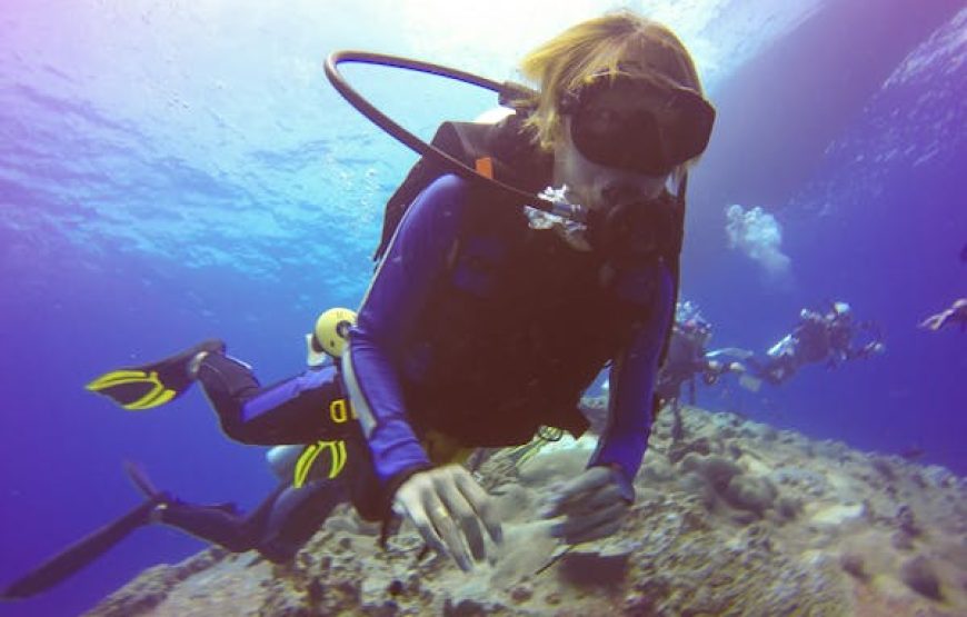 Snorkeling + Magawish Island